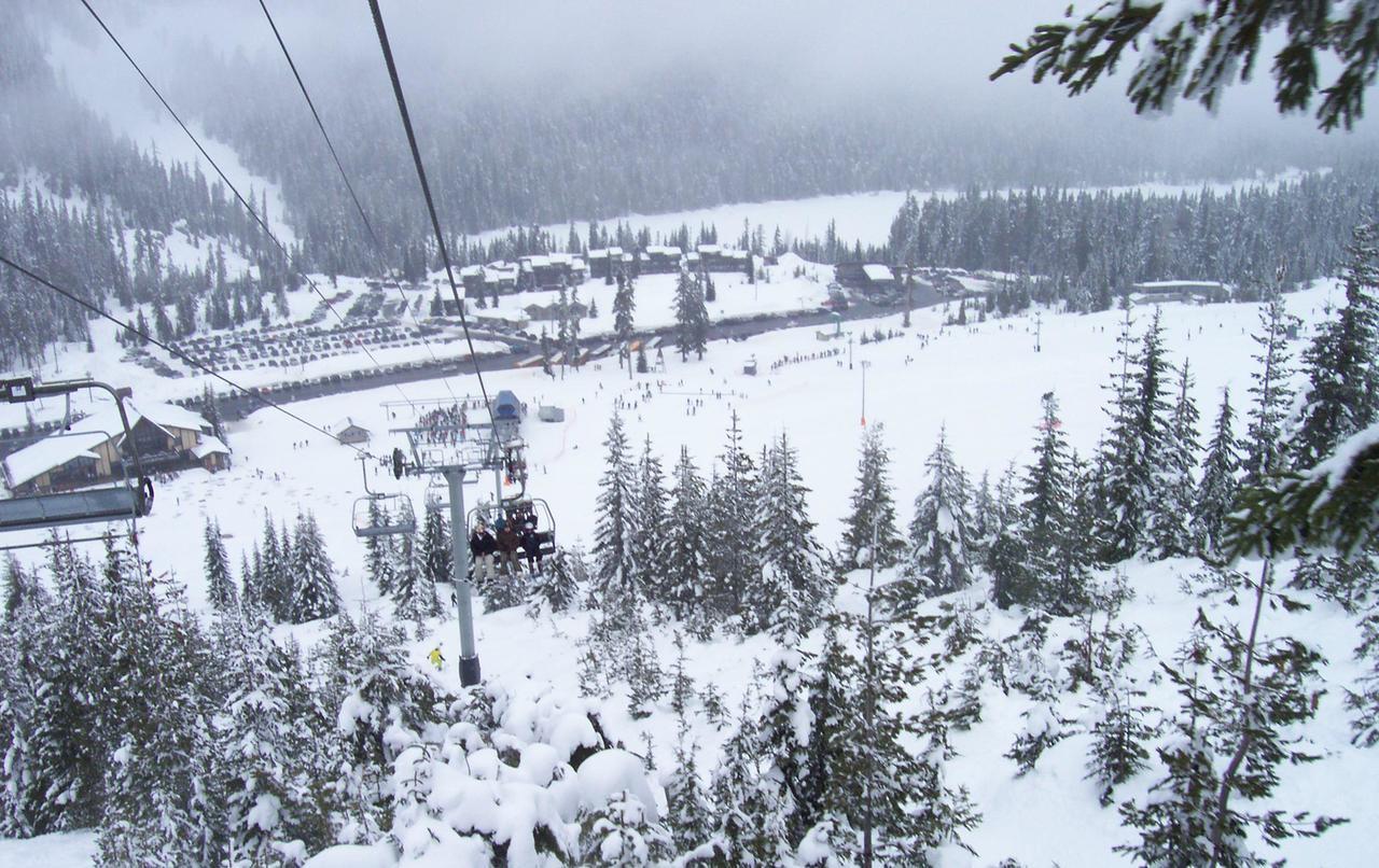 Rimrock White Pass Log Cabin Luxury Retreat מראה חיצוני תמונה