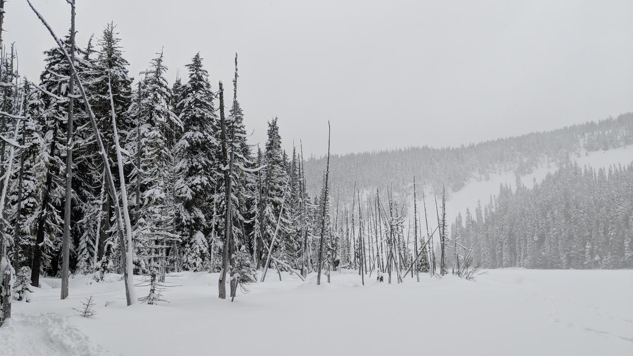 Rimrock White Pass Log Cabin Luxury Retreat מראה חיצוני תמונה